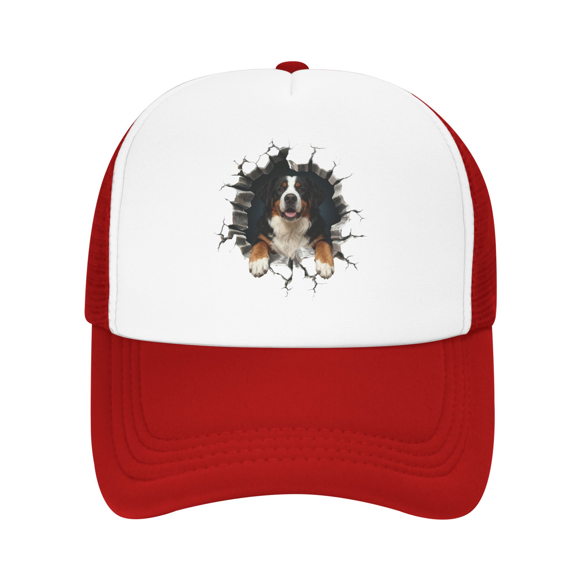Gorra de béisbol ajustable par - Trucker Hat Cap reseña y precio