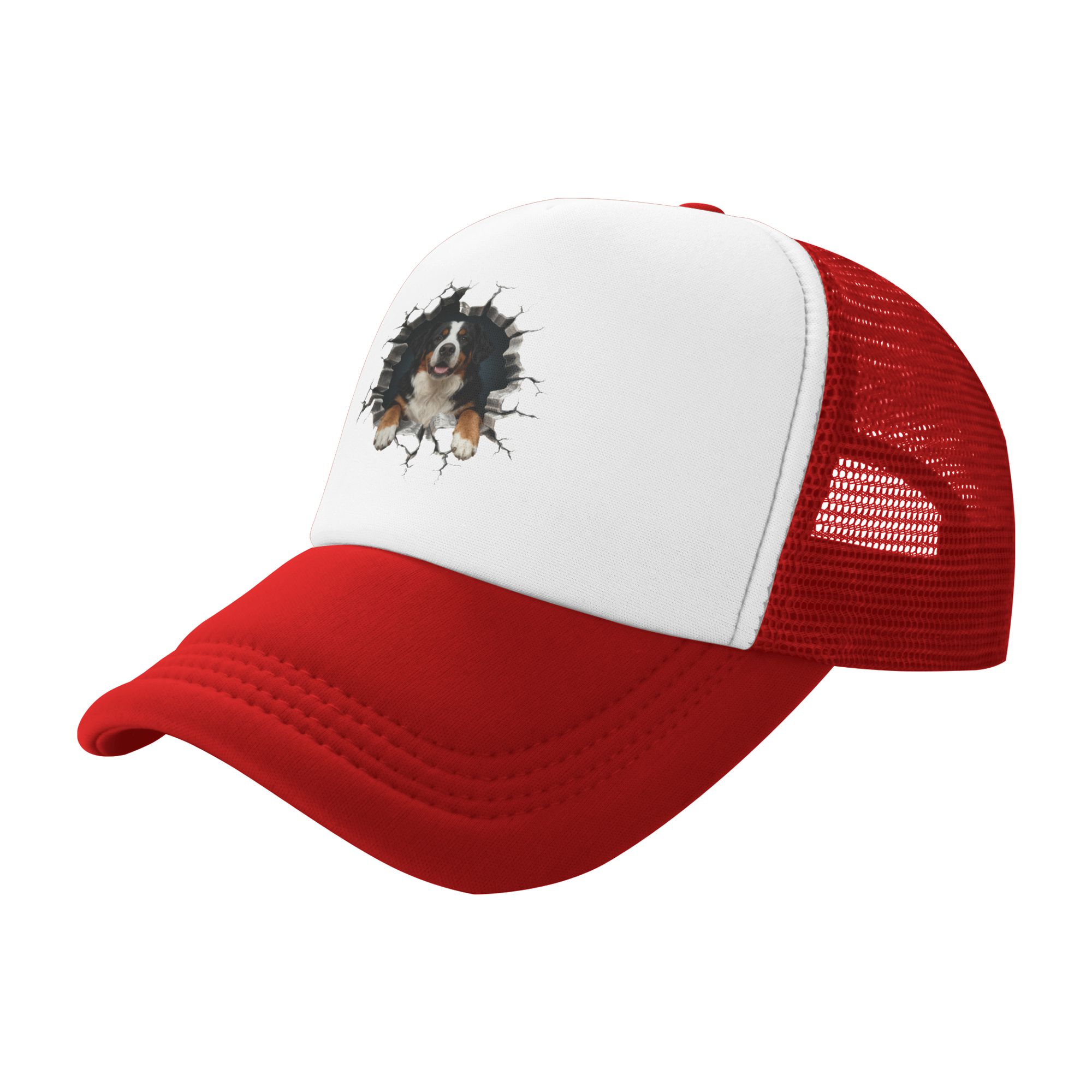 Gorra de béisbol ajustable par - Trucker Hat Cap reseña y precio